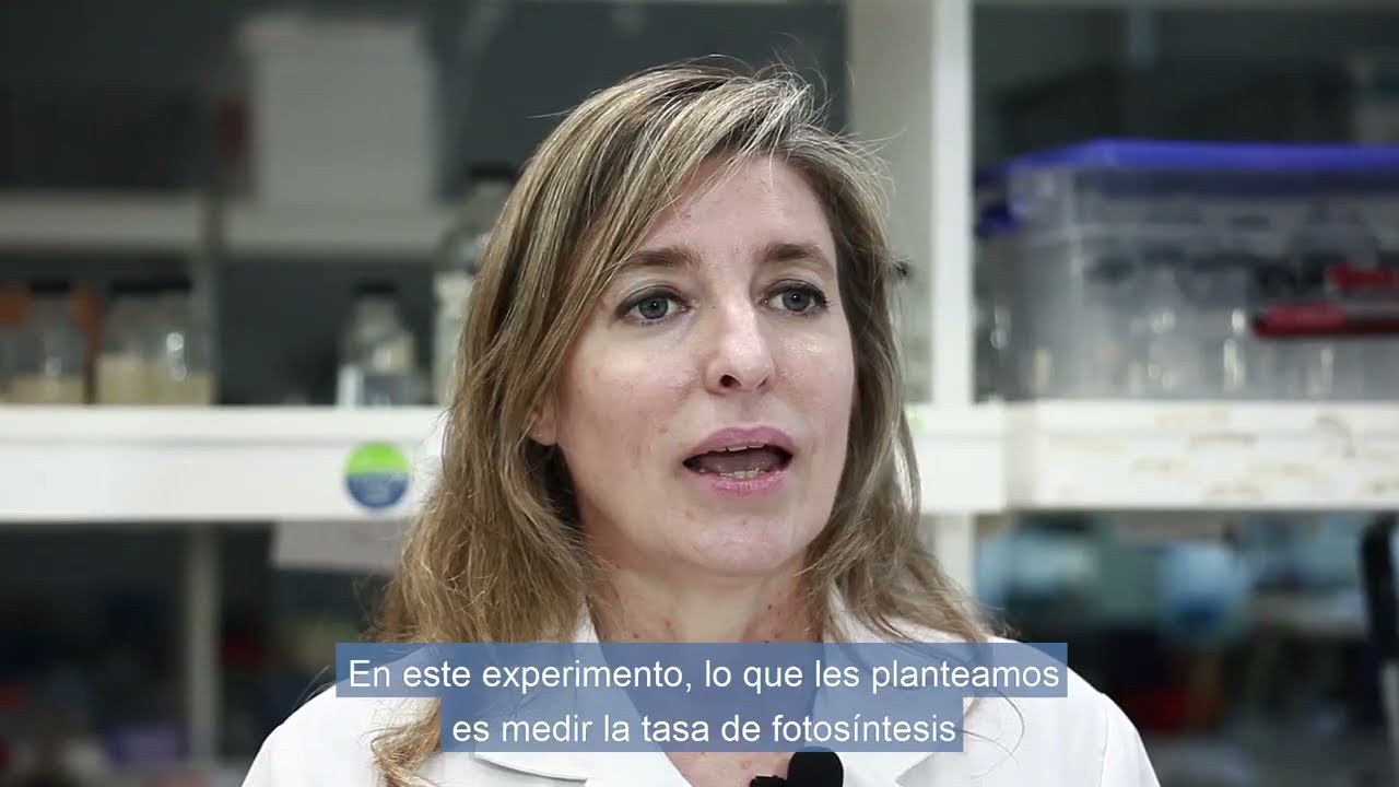 Ver y Medir la Fotosíntesis