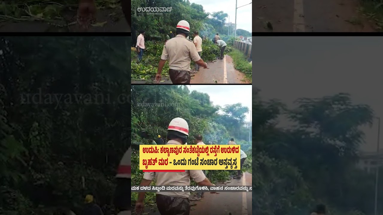 Udupi: ಕಲ್ಯಾಣಪುರ ಸಂತೆಕಟ್ಟೆಯಲ್ಲಿ ರಸ್ತೆಗೆ ಉರುಳಿದ ಬೃಹತ್ ಮರ | Huge Tree Falls on Road in Udupi