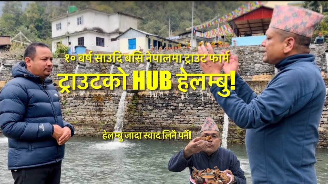 नेपालमै ट्राउट माछाको उत्कृस्ट उत्पादन हेलम्बुमा।१० बर्ष साउदि बसि हेलम्बुमा ट्राउट फार्म।तालिम पनि!