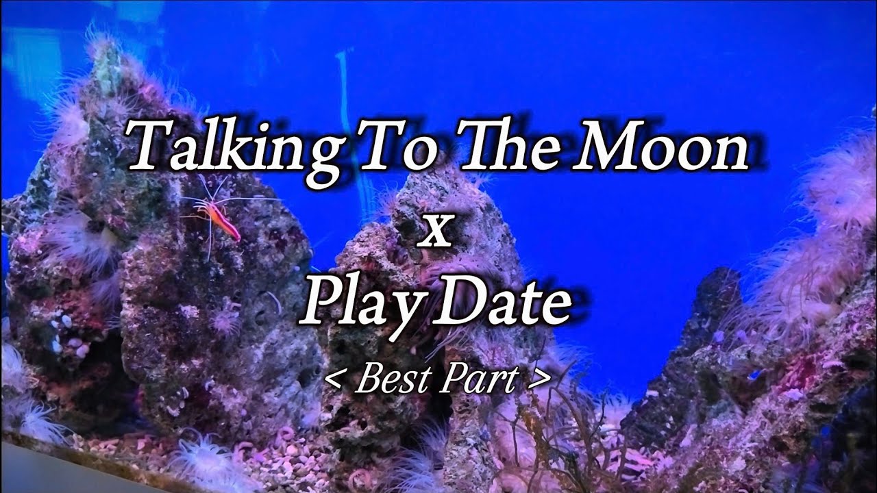 Talking To The Moon x Play Date (Best Part - Slowed) | Lyrics