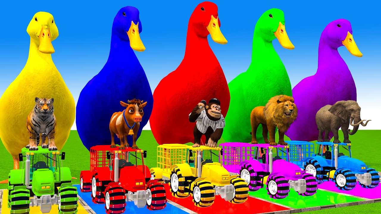 5 Giant Duck Cartoon,Cow,Elephant,Tiger,Lion,Dinosaur,Paint Wild Animals Crossing Fountain Animation