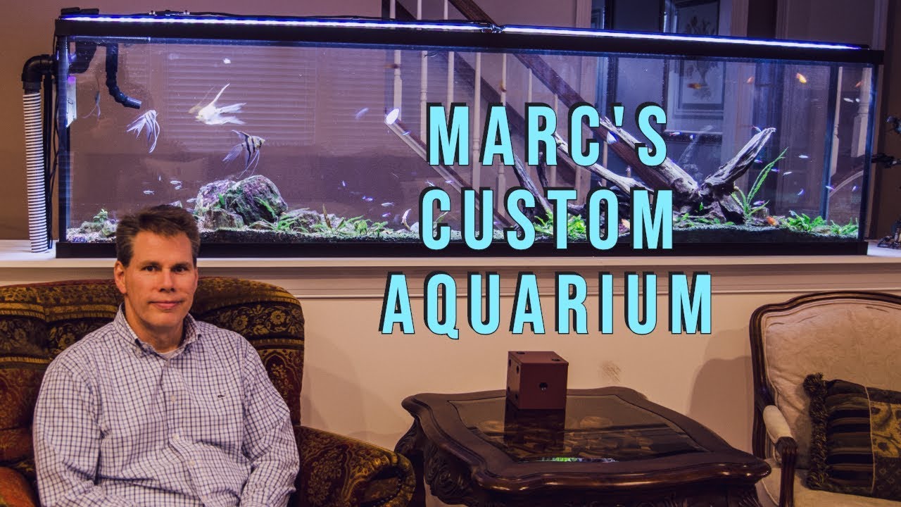 Marc's Custom Aquarium