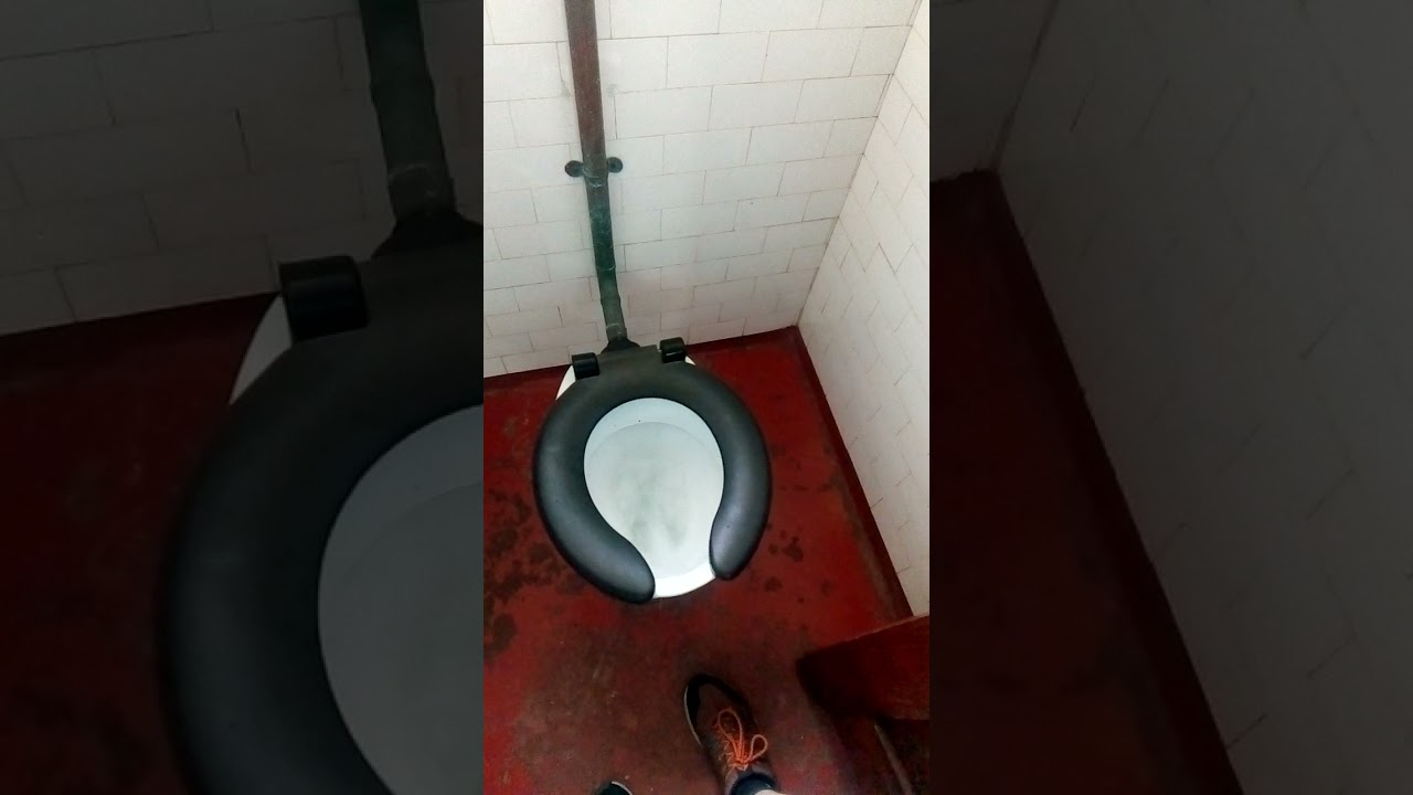 Toilets at Vaucluse house