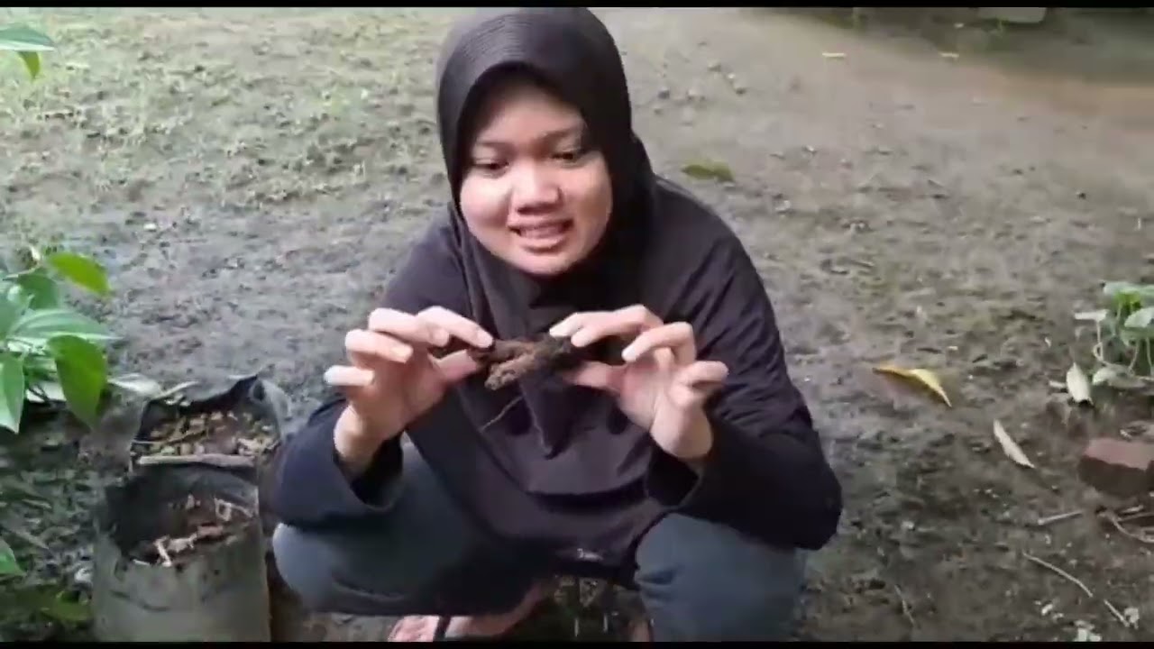 ALAM ADALAH GURU TERBAIK KEHIDUPAN DAN SUMBER ILMU |  eksplorasi pewarna alam | X-10_2