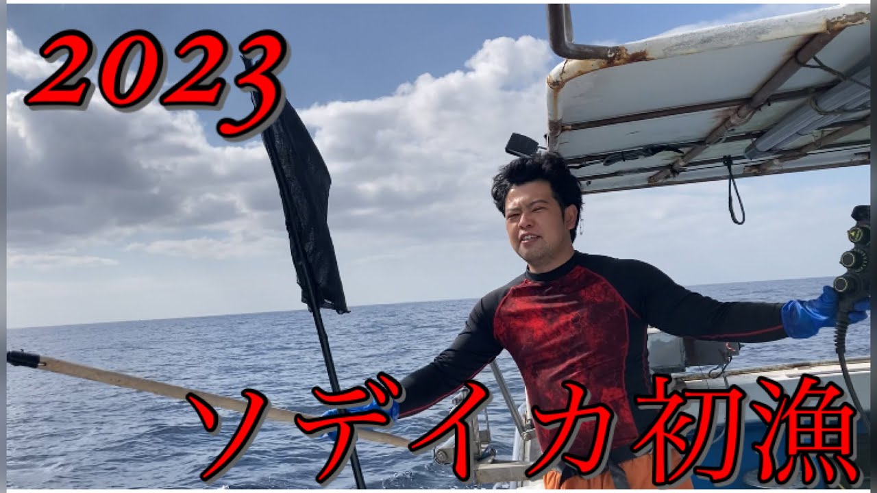 今シーズン1の晴天下でのソデイカ漁の結果いかに、、、