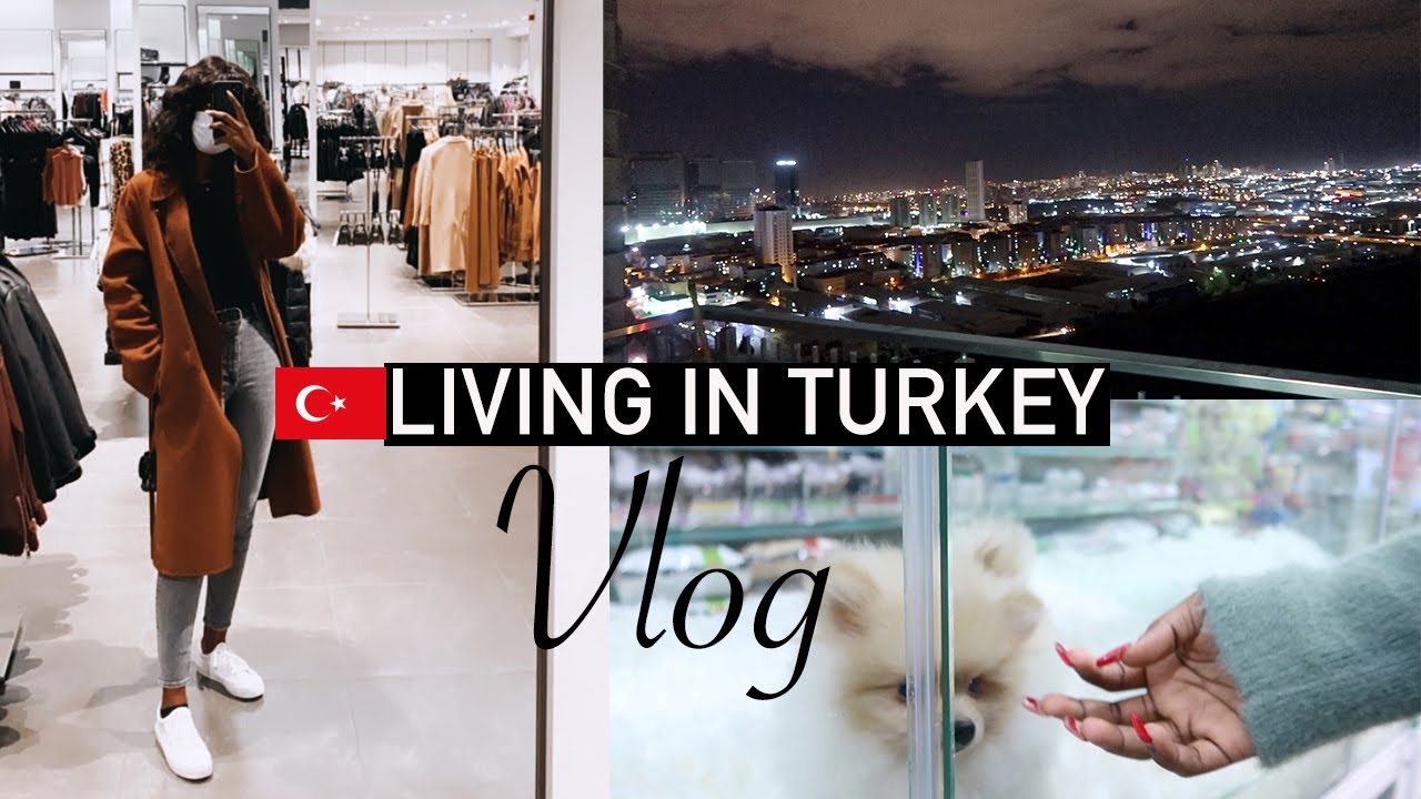 Living In Turkey 🇹🇷 : NEW CURFEW IN ISTANBUL, LOOKING AT PUPPIES,  AKBATI MALL.