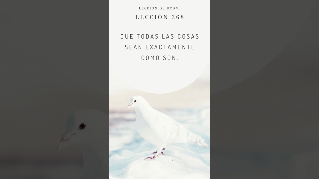 ✨ Lecci&oacute;n 268 ✨  #ucdm #ucdmuniversal #uncursodemilagros www.margaritavelasquez.com ✨