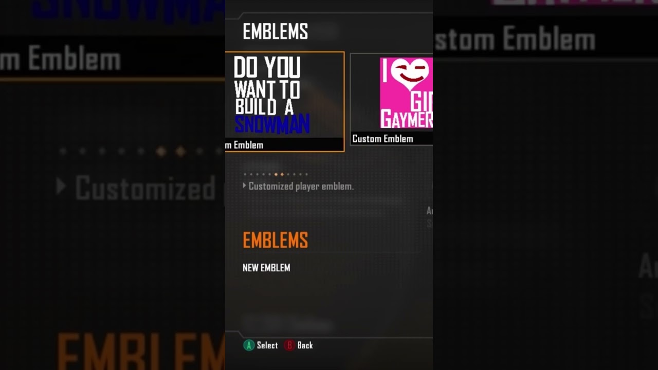 Black Ops 2! My 2014 Emblems!  😂