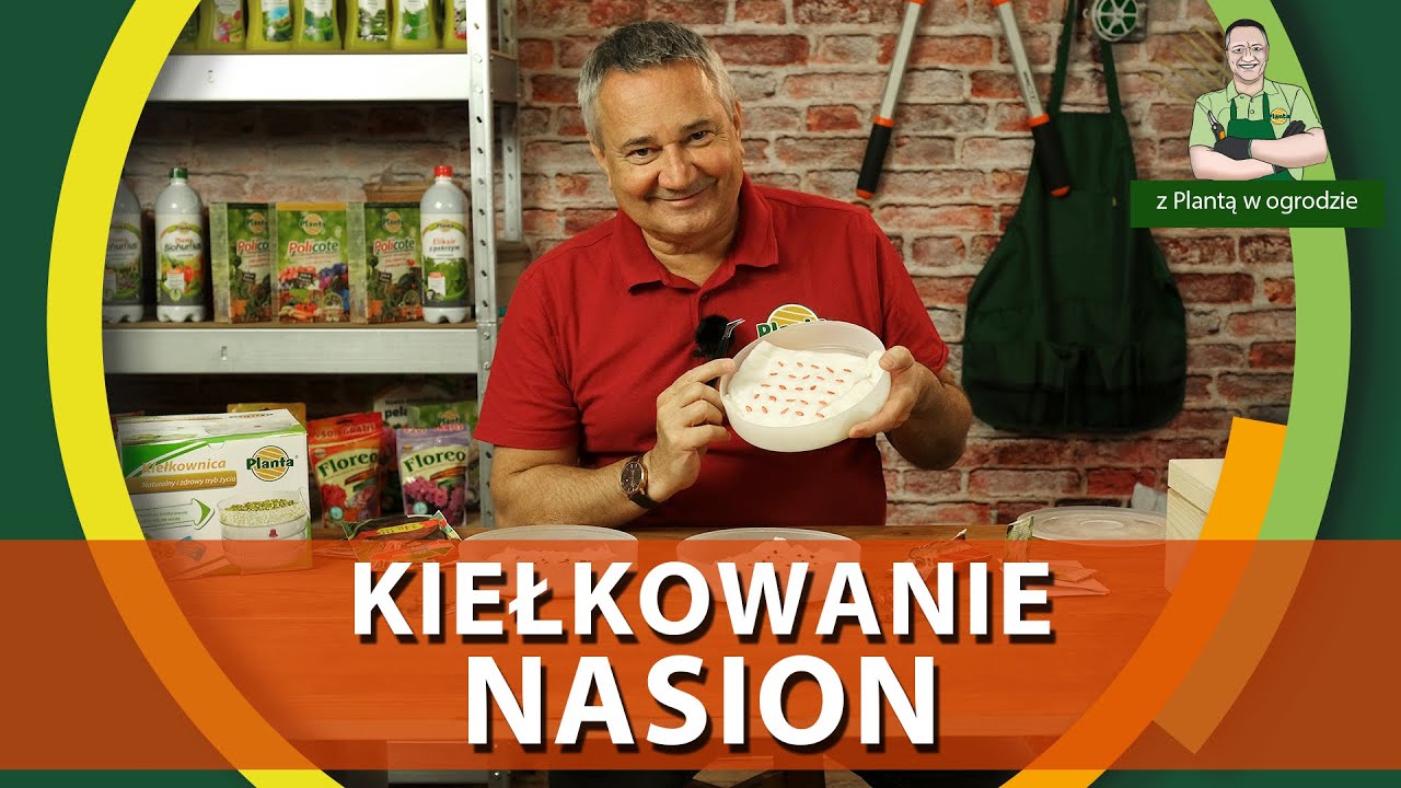 Jak sprawdzić jakość nasion - Z PLANTĄ W OGRODZIE
