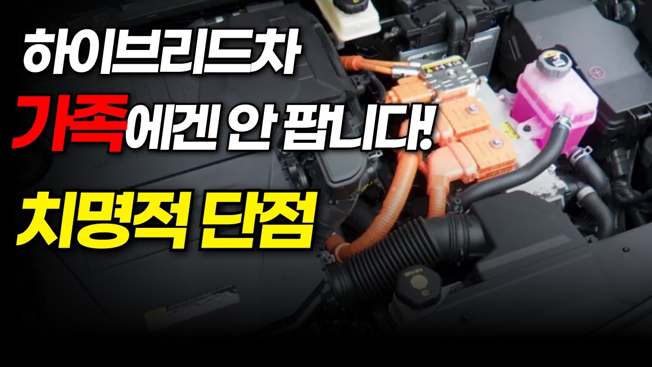 하이브리드 차량 사기 전에 꼭 확인해보세요!(쏘렌토,싼타페,현대,기아 하이브리드 치명적 단점, 고질병,수리비 등)