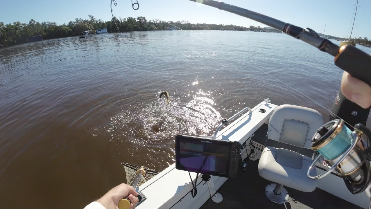 Dirty Water Jewfish, Queenies and Trevally - Noosa River Fishing