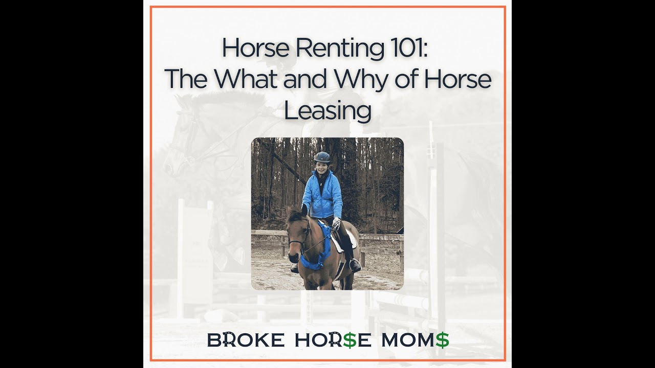Horse Renting 101: The What and Why of Horse Leasing