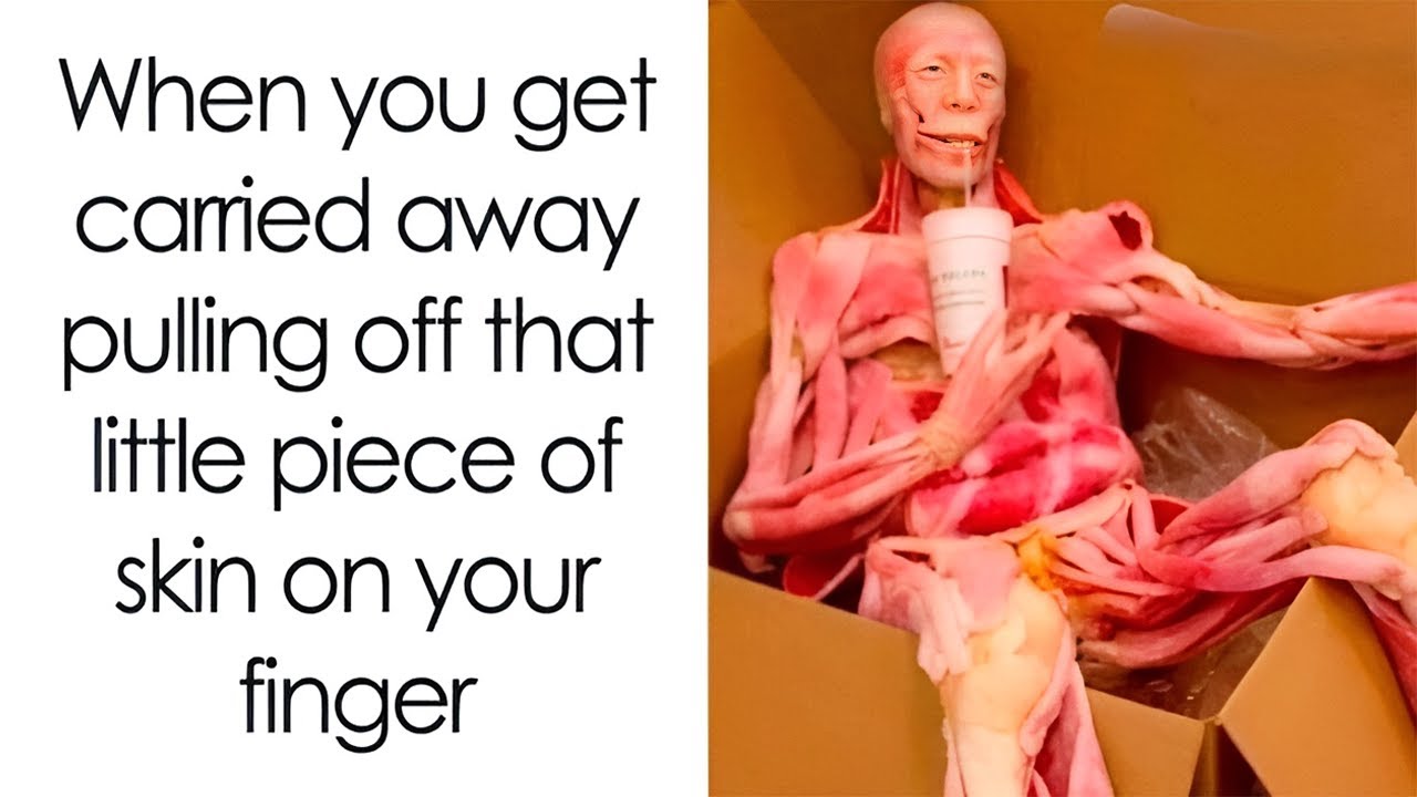 Hilarious Memes Shared On The &ldquo;Very Nice Meme, Thanks&rdquo; Facebook Group