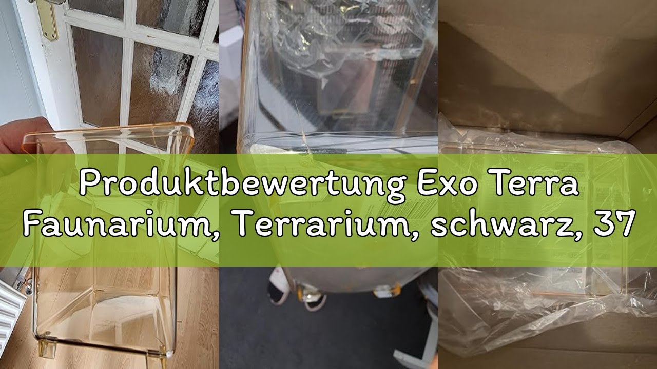 Produktbewertung Exo Terra Faunarium, Terrarium, schwarz, 37 x 22 x 25 cm
