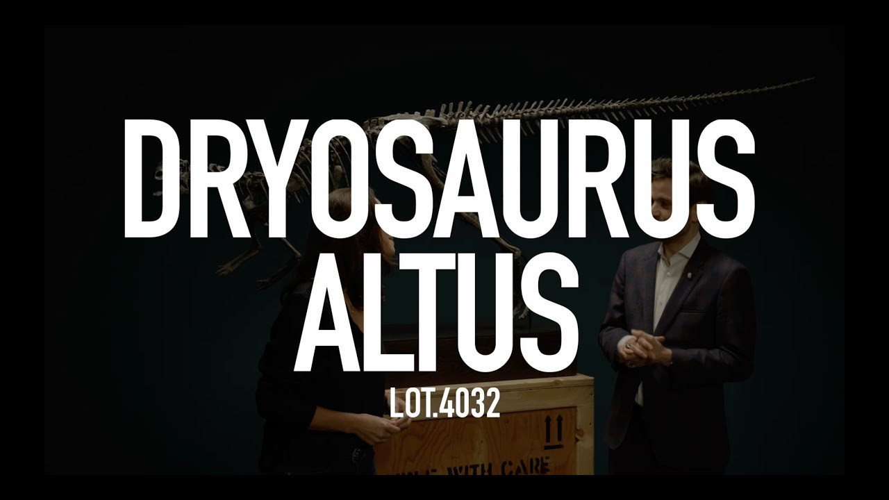 'Artemis' the forest dweller  I  DRYOSAURUS ALTUS