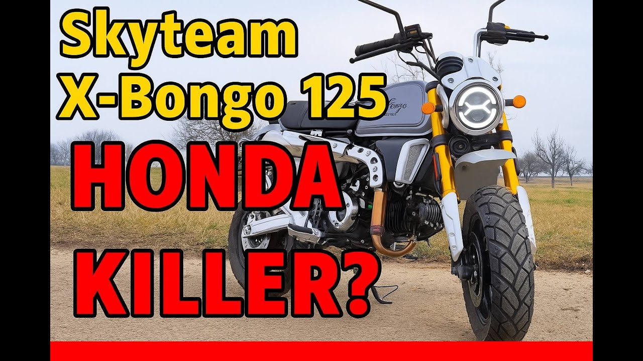 TSS BIKES Skyteam X-Bongo 125 – Der Mini-Bike Geheimtipp! Besser als die Honda MSX/Grom?!