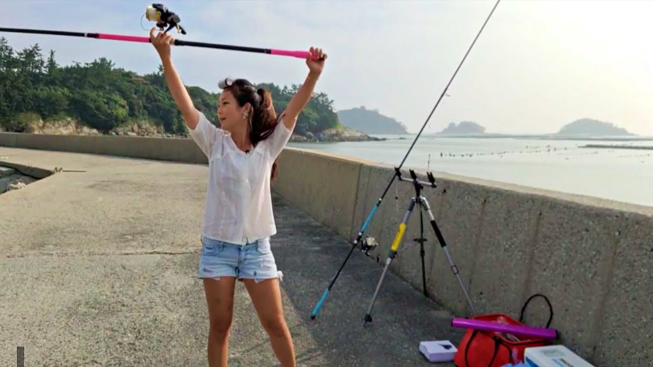 한여름 보길도에는 어떤 물고기가 나올까