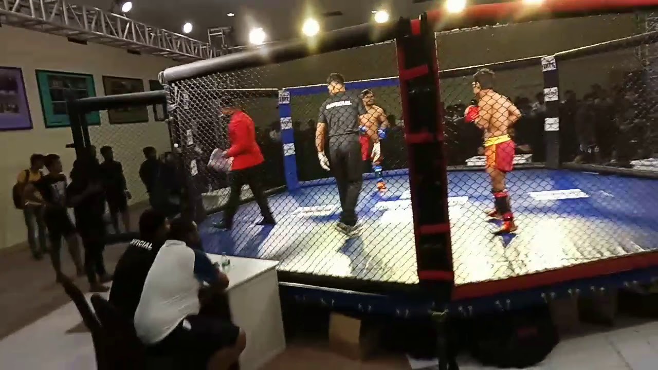 Dinesh fight
