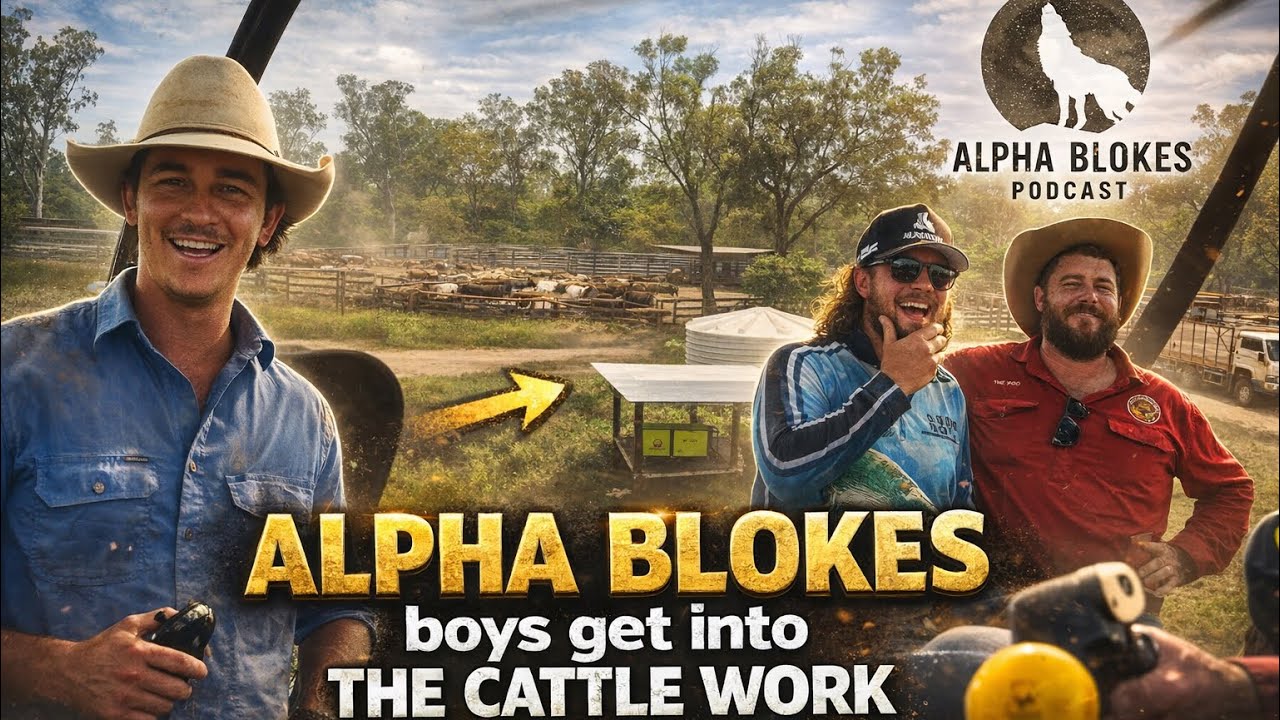 Alpha Blokes boys get into some cattle work!