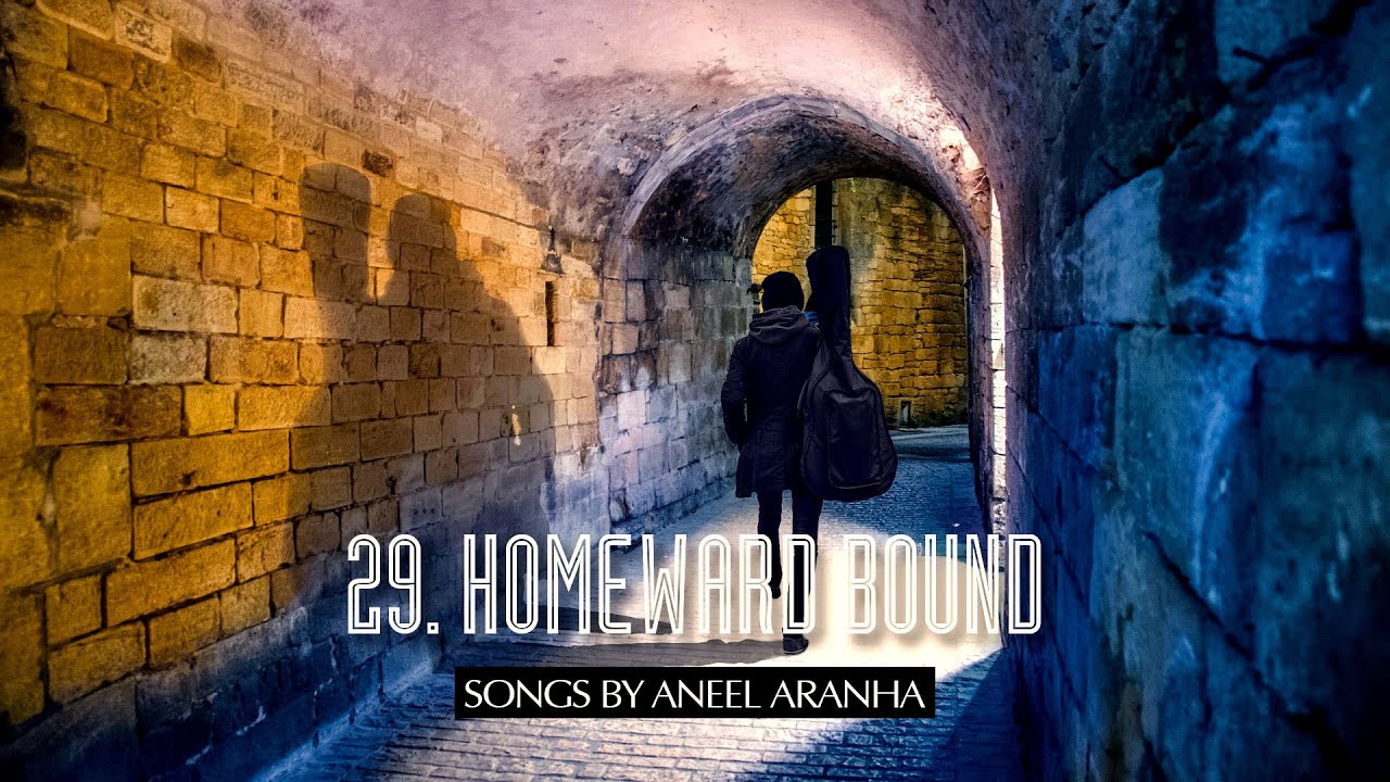 29 - Homeward Bound - Aneel Aranha