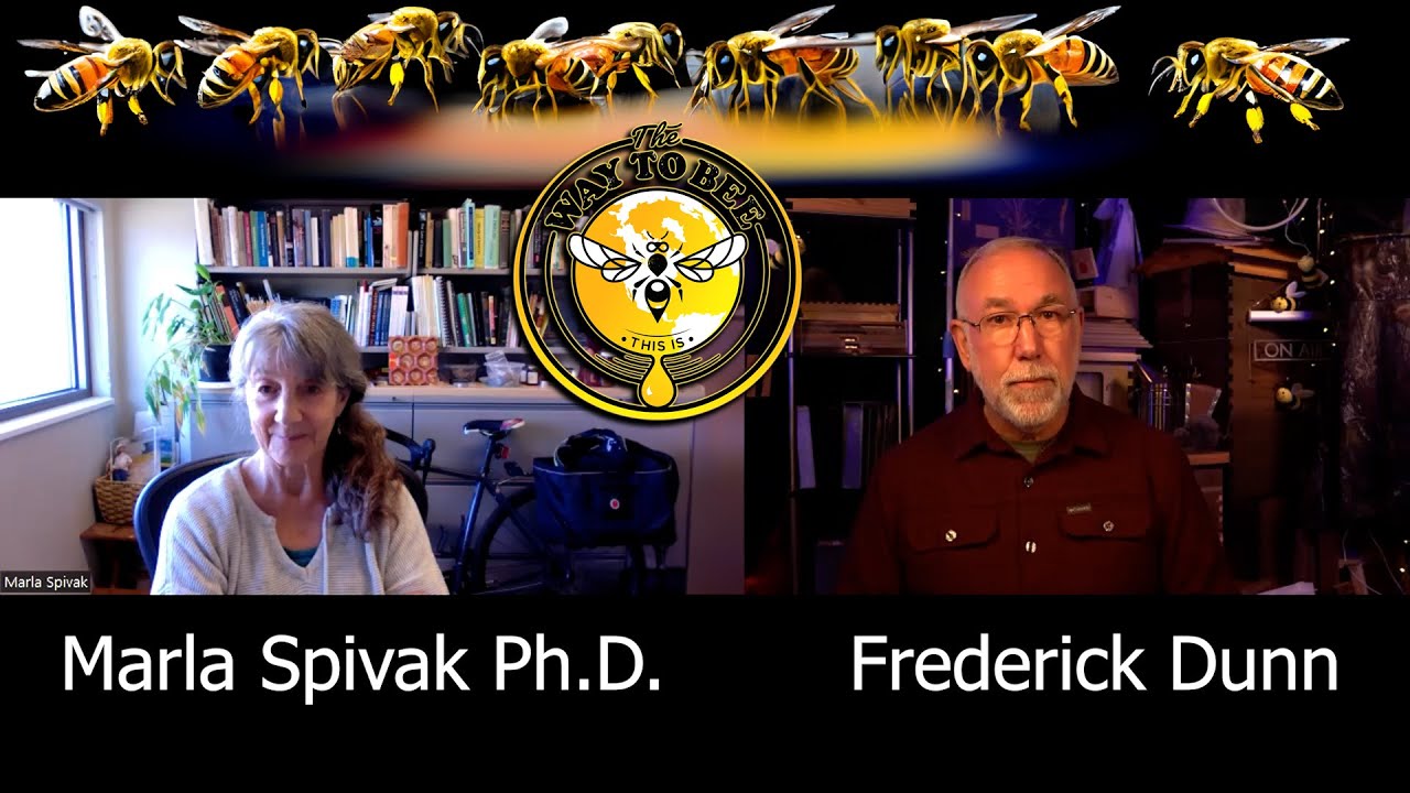 Interview With Marla Spivak at the University of Minnesota Bee Lab.