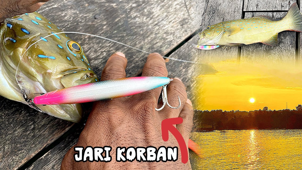 Cantik namun mengerikan - Jari tangan luka di hajar matakail akibat ikan cantik ini
