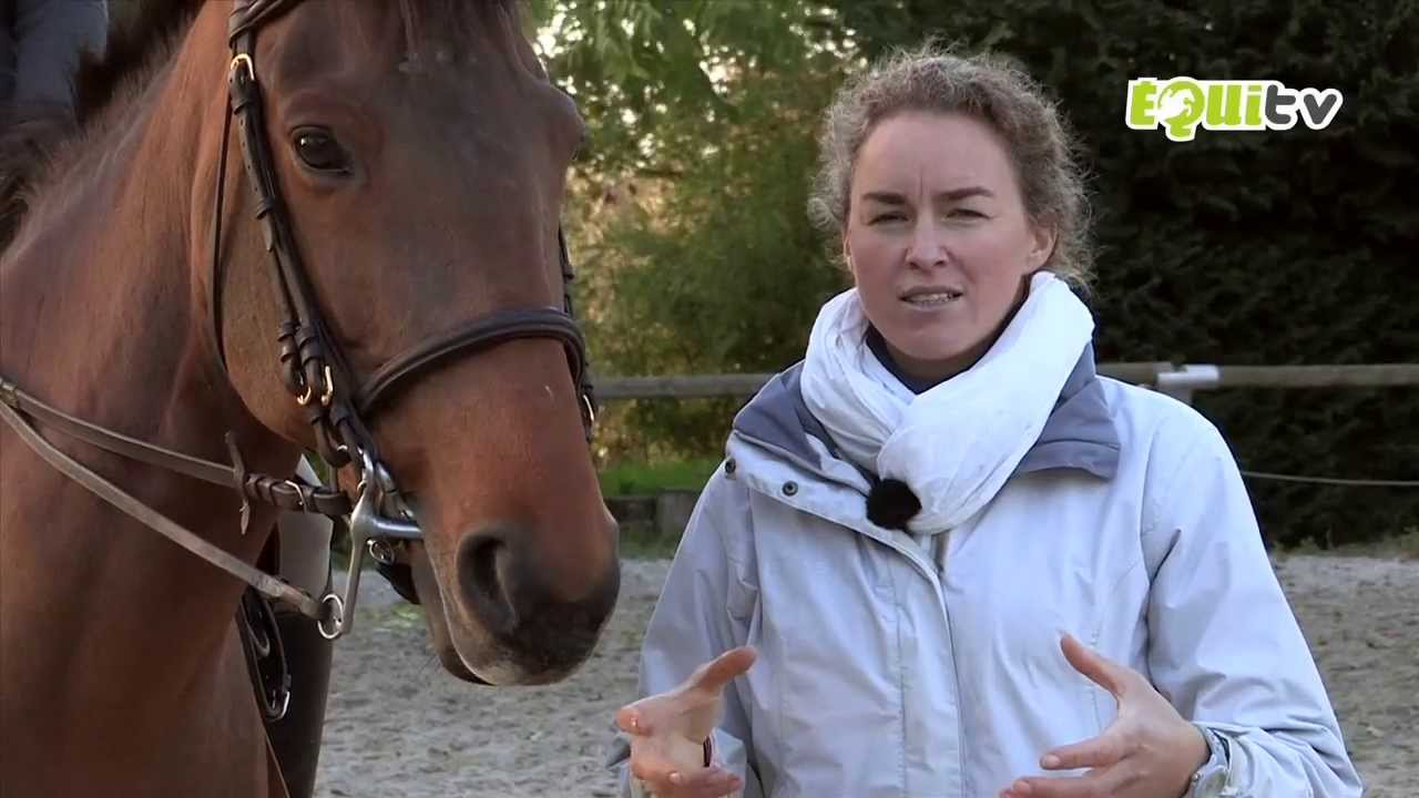 Le départ au galop sur le bon pied. A cheval!
