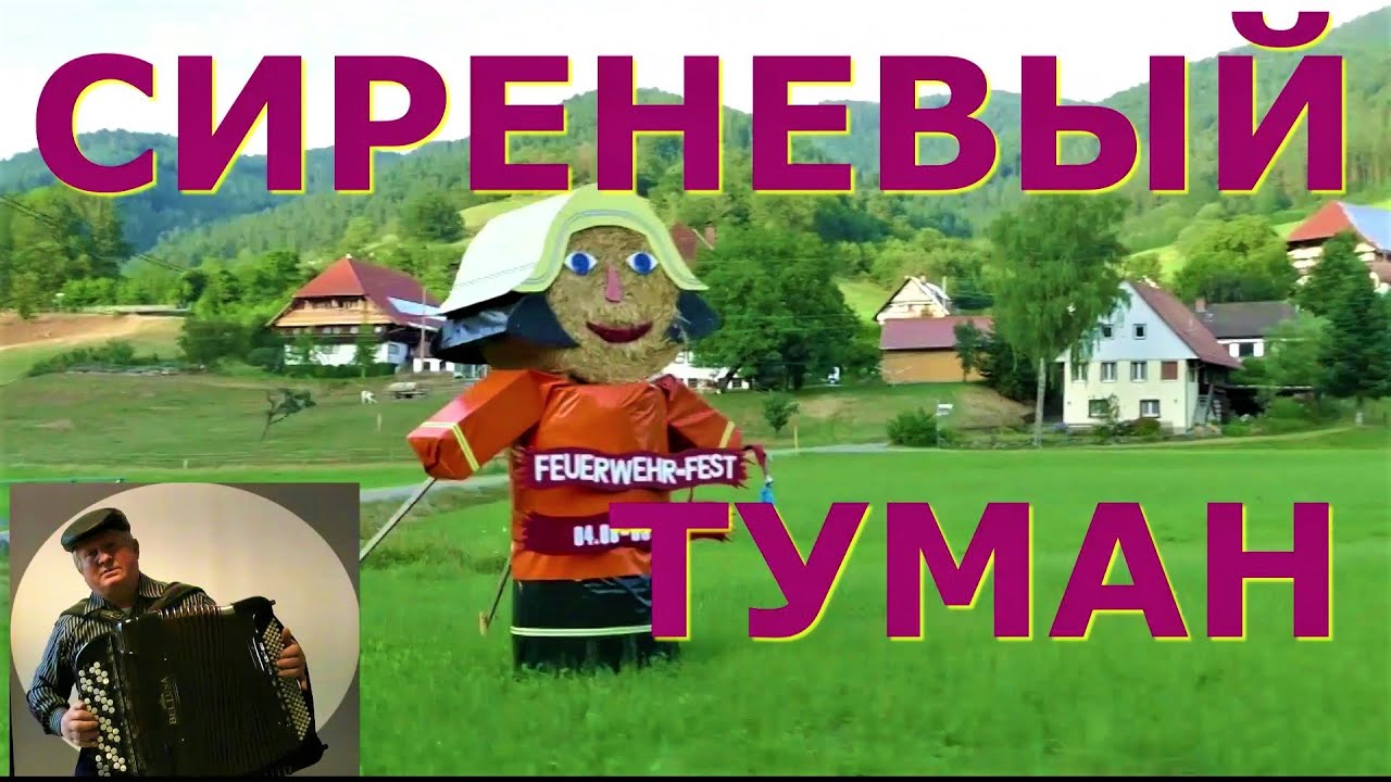 СИРЕНЕВЫЙ ТУМАН - играет СЕДОЙ БАЯНИСТ -  текст песни