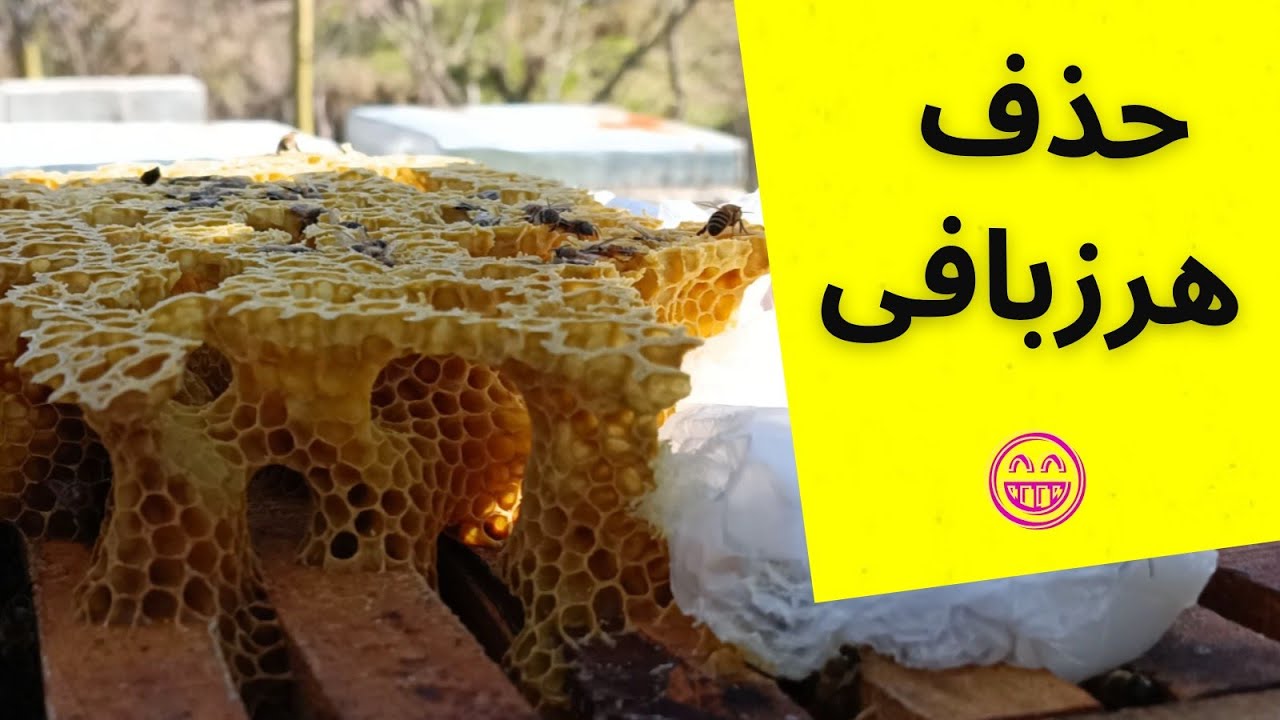 آموزش زنبورداری : حذف هرز بافی