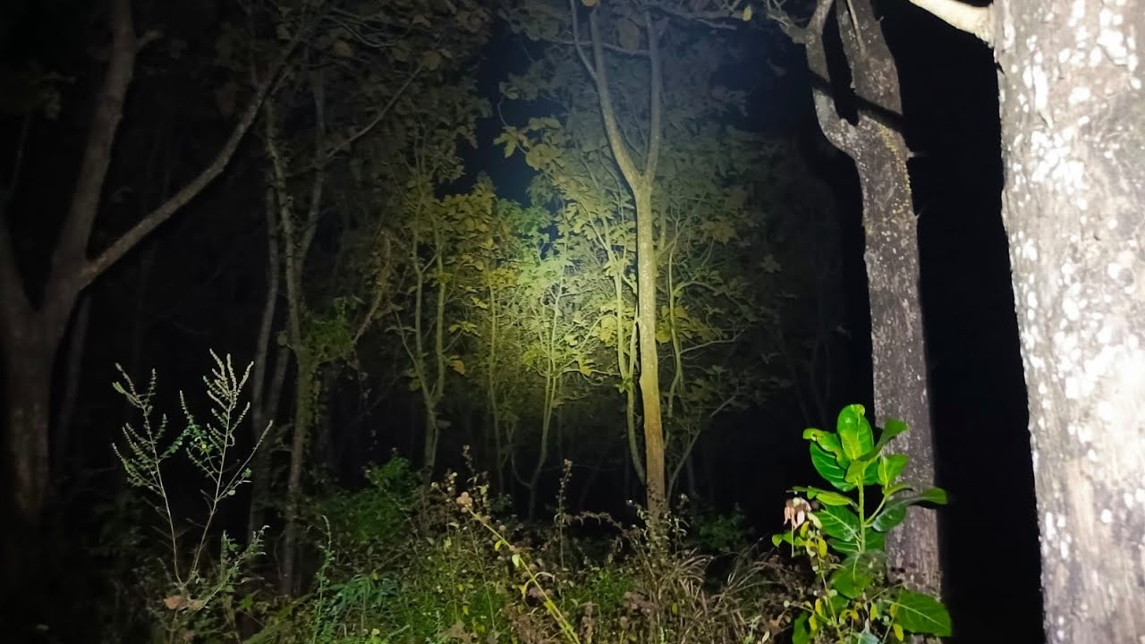 Live Misteri‼️Datangi Kembali Lokasi Pasar Setan