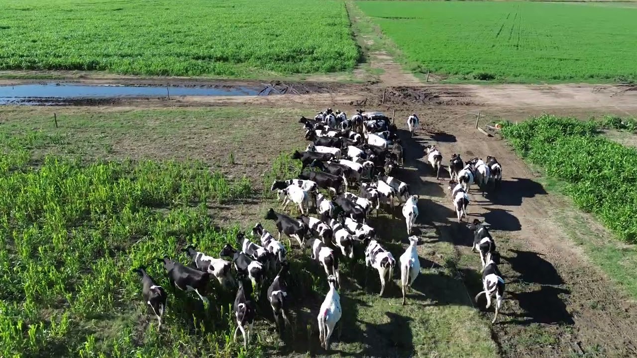 DJI 0013