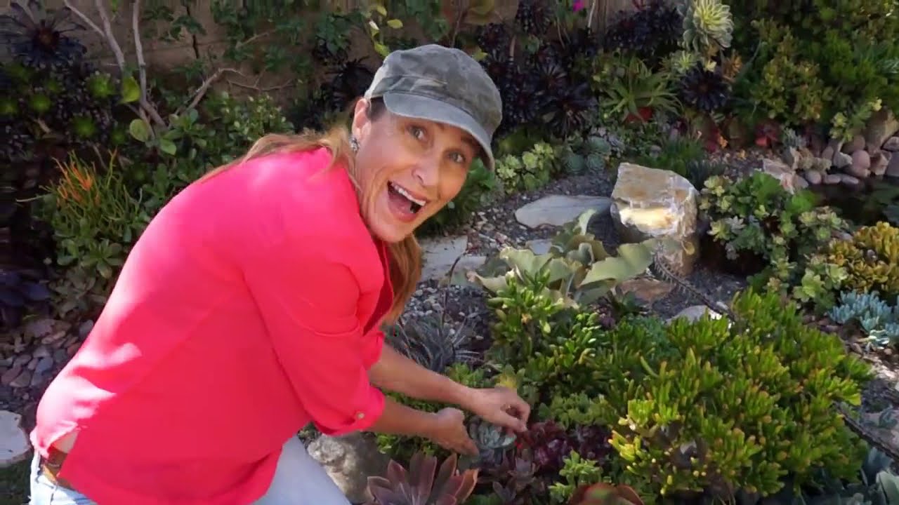 Lauras Tip of the Day (Garden Island)