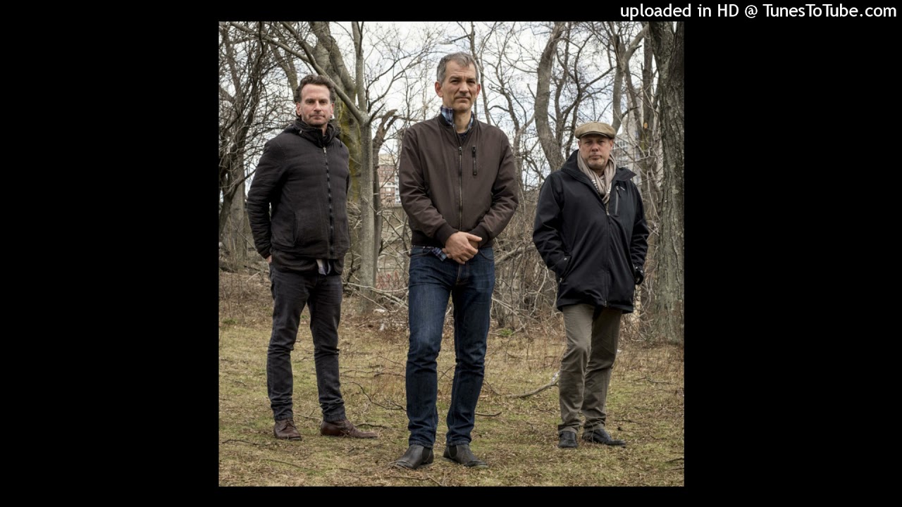 Brad Mehldau Trio - And I love her (live)