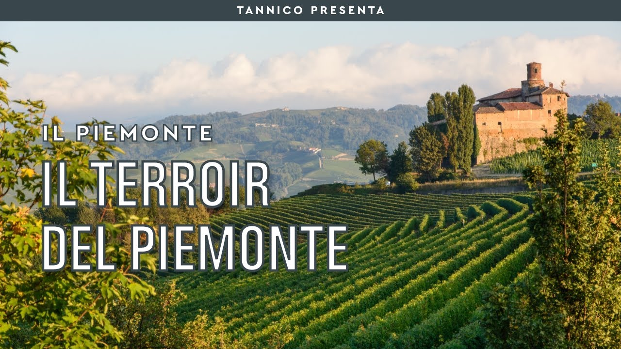 I vini piemontesi e il segreto del terroir | Tannico Flying School