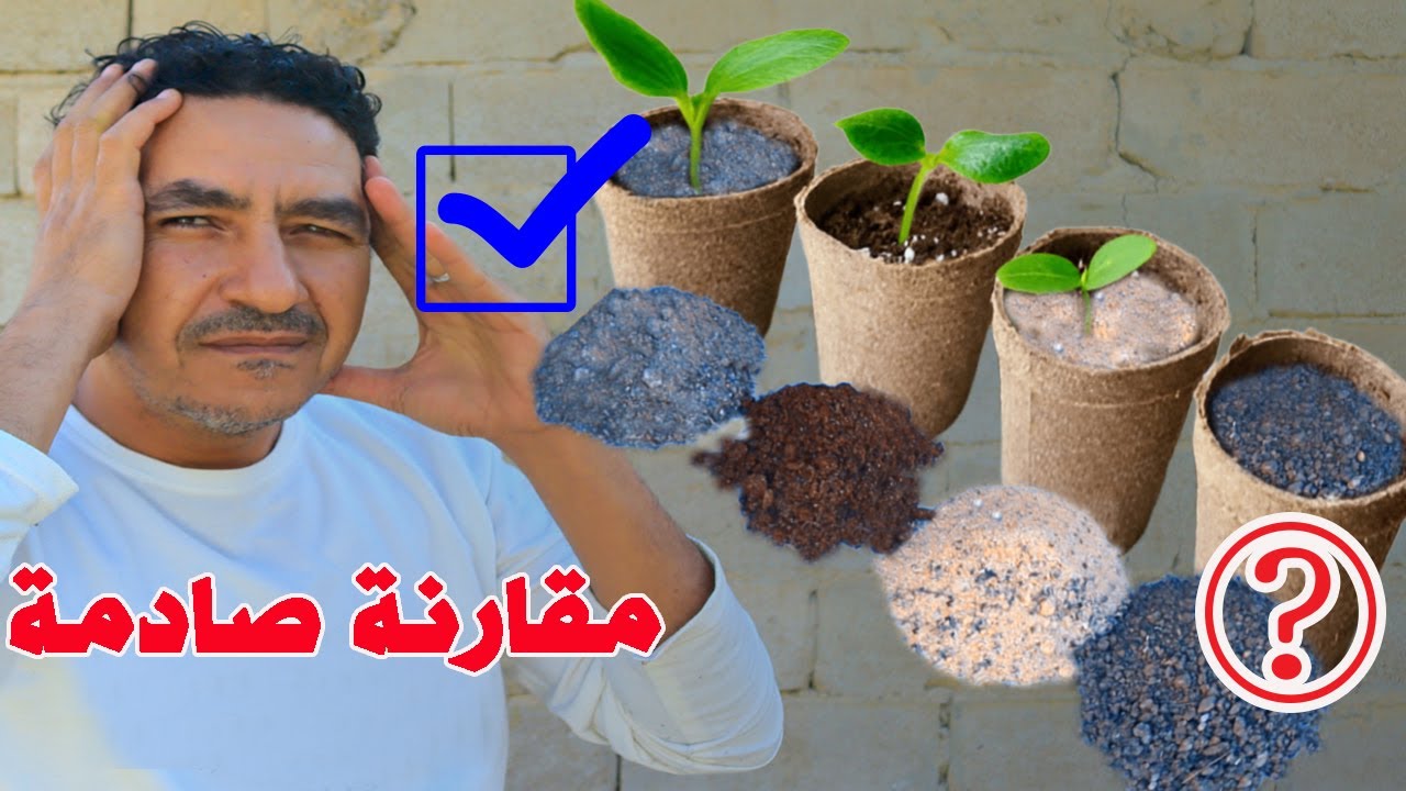 زرعت فى 4 انواع مختلفة من التربة🤔 للأسف اكتشفت أسوء تربة وعرفت لية البذور مش بتطلع وبتتأخر فى النمو