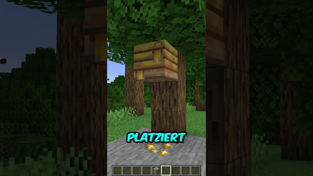 3 Bau Hacks! 