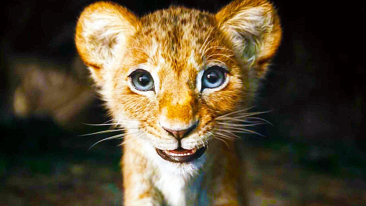 The MUSIC of MUFASA THE LION KING