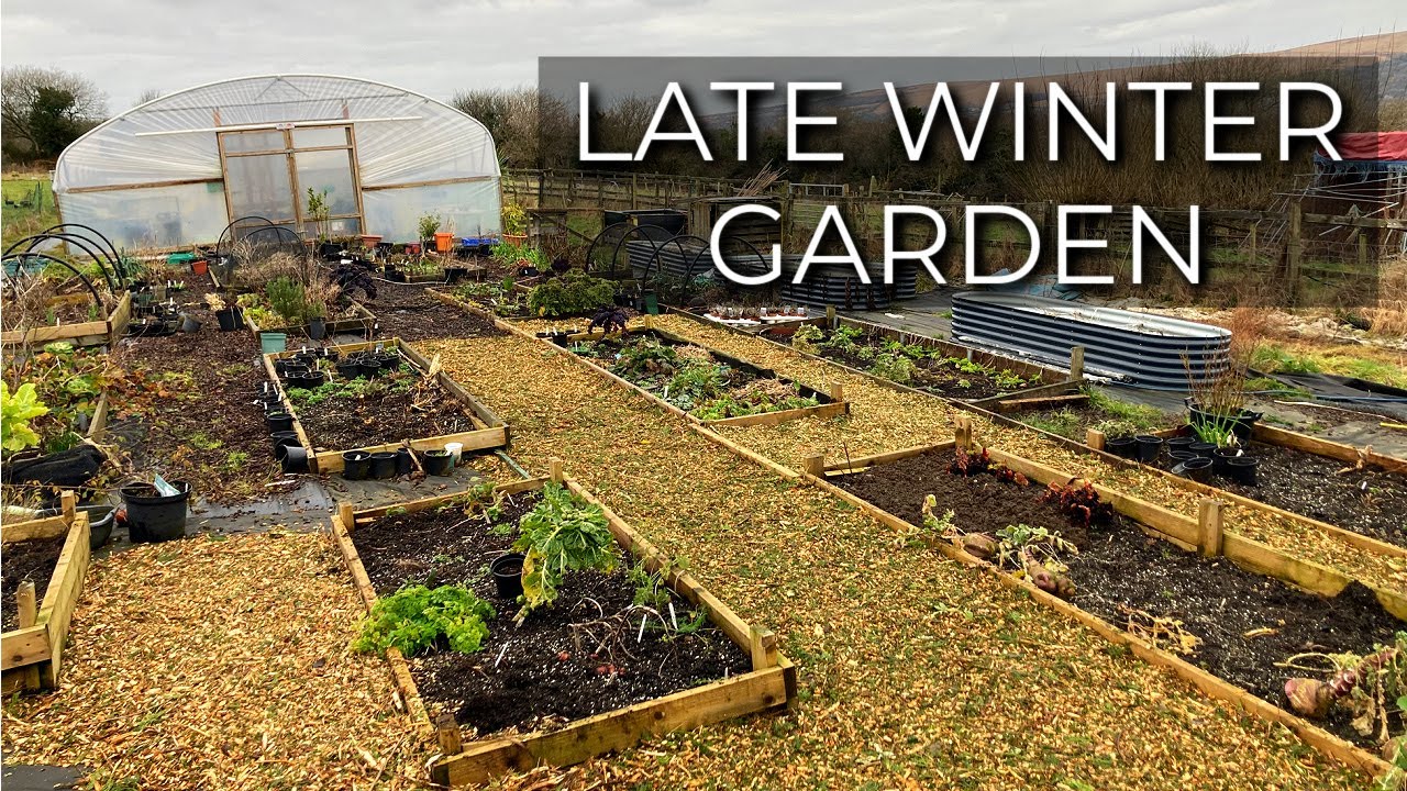 Garden Tour in Late Winter | Is it too late to start growing?