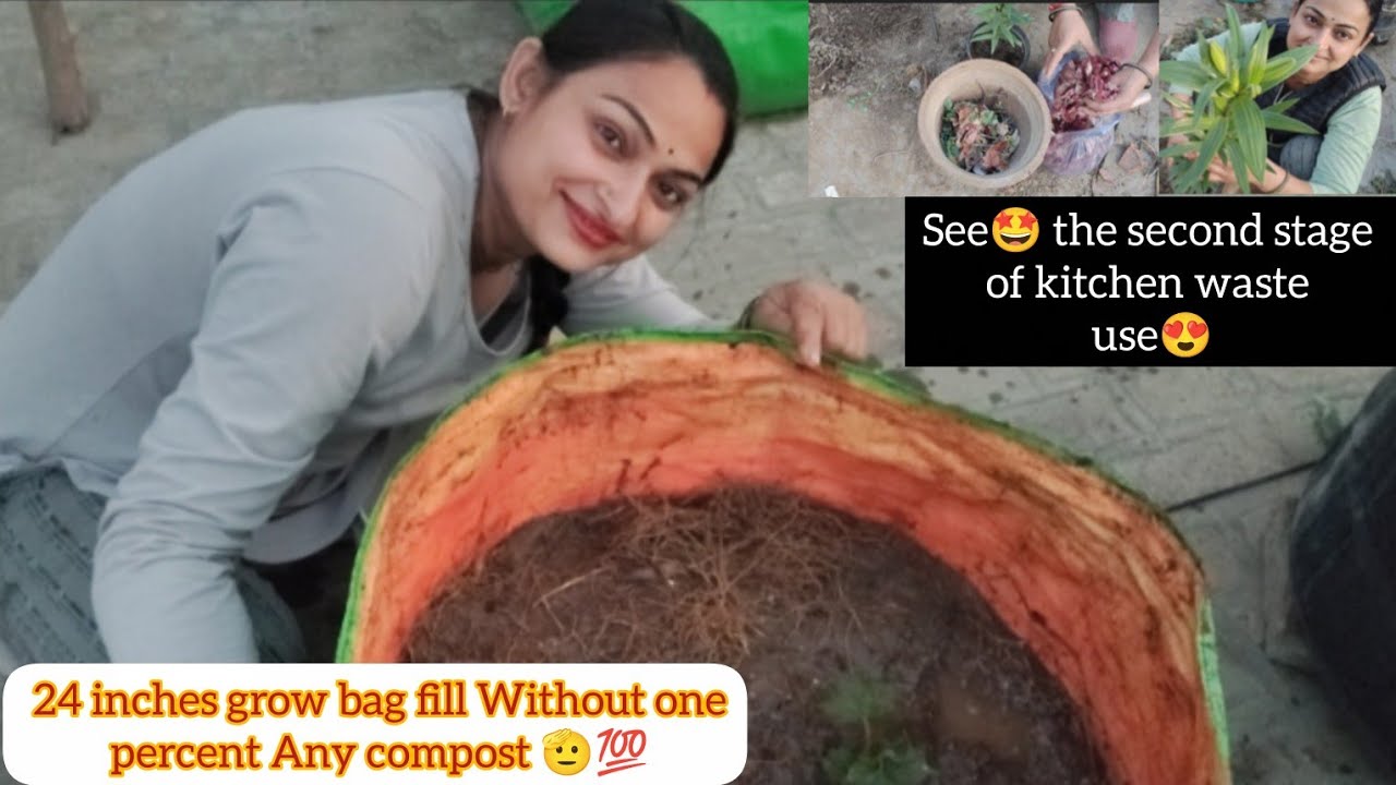 See the second stage of kitchen waste use😍/24 inches grow bag fill without one percent any compost 🫡