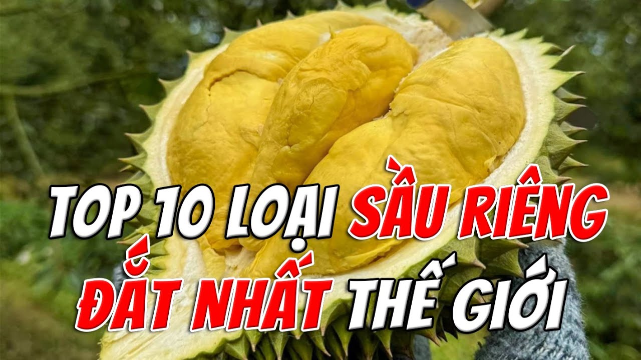 Top 10 Loại Sầu Riêng Đắt Nhất Thế Giới – Sự Hoàn Hảo Của Quả Vua | TOP 1 THẾ GIỚI