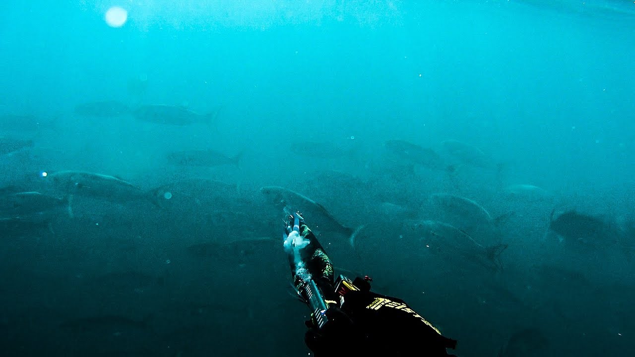 Spearfishing - The Story of a Gun - Ψαροτούφεκο Η ιστορία ενός όπλου
