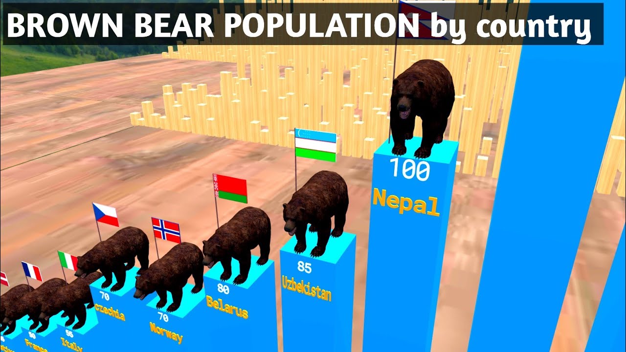brown bear population by country |2023|🐻 population