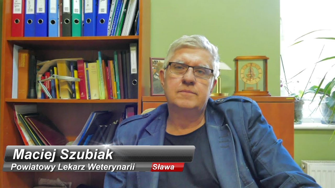 szubiak