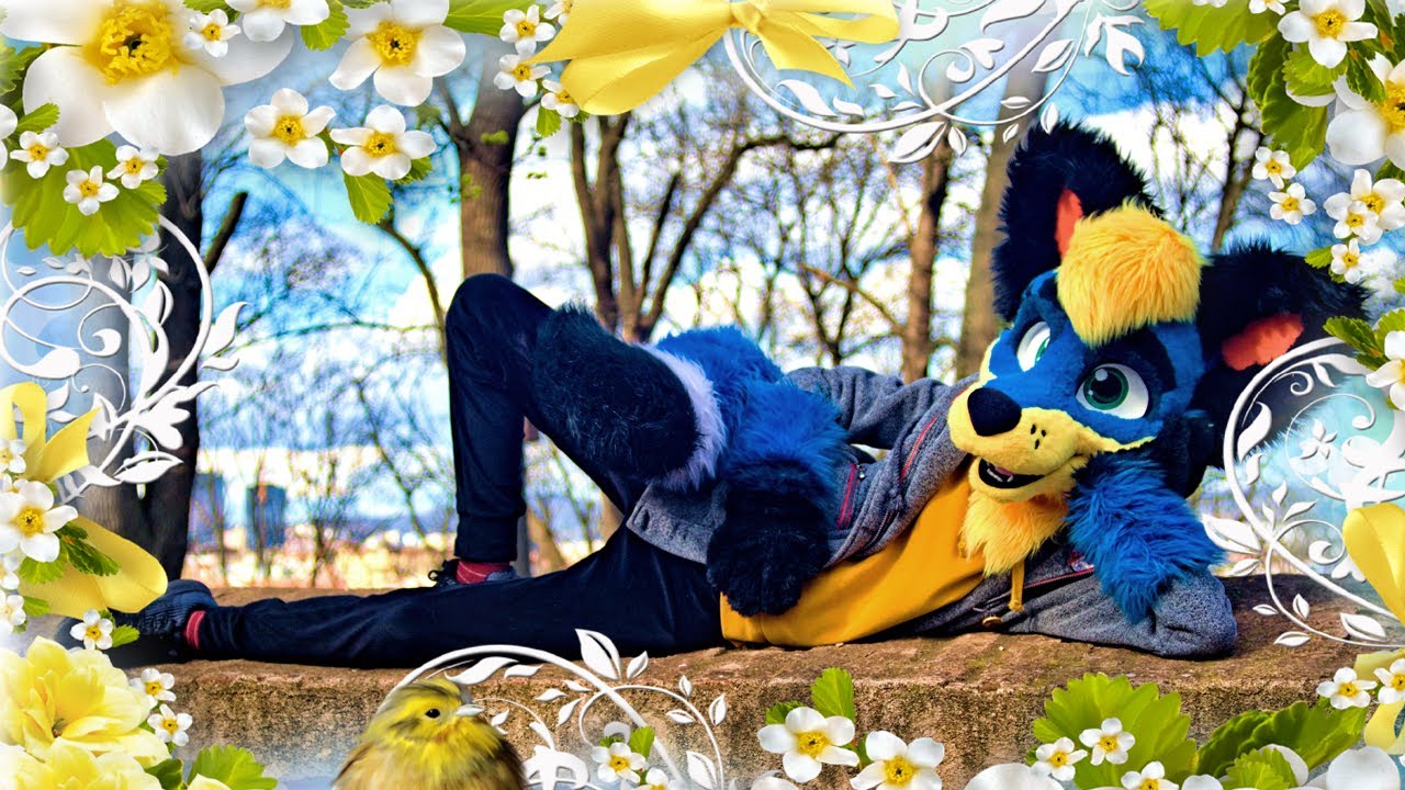 Furry Outing - Brno 25.3. 2023