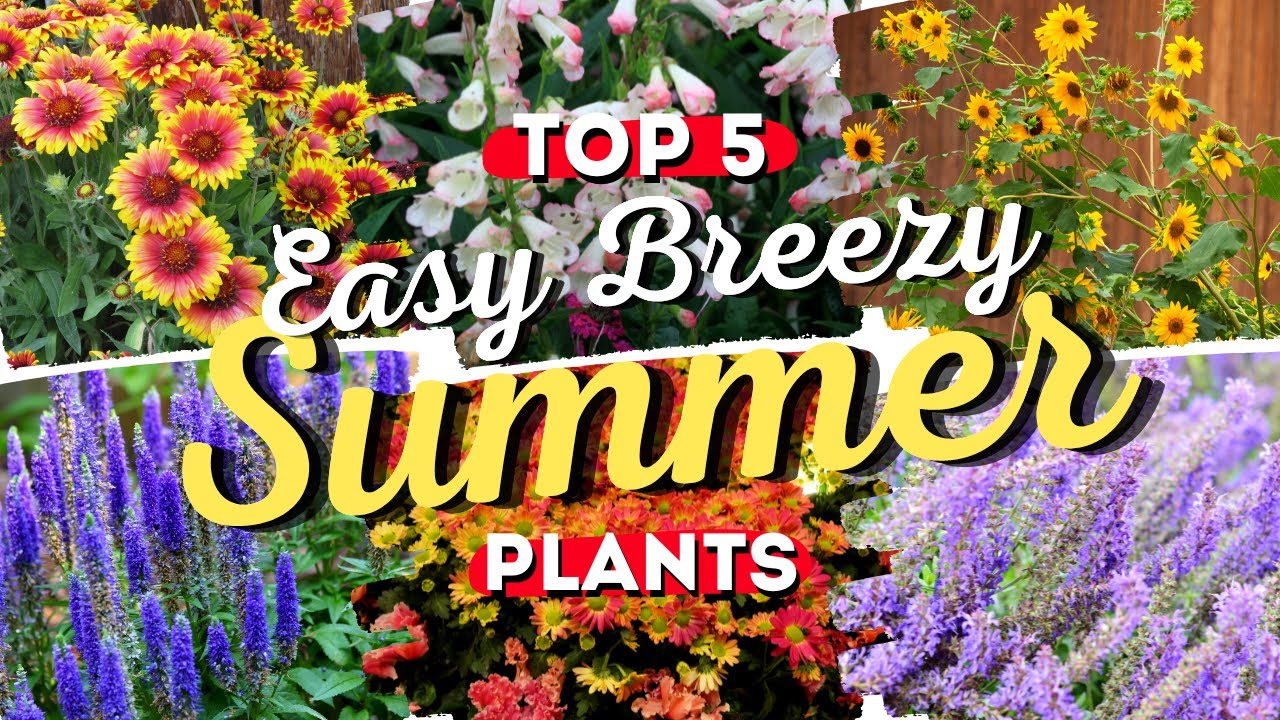 Easy-Breezy! The Top 5 Low Maintenance Plants for Beautiful Summer Blooms! 🌻🌞