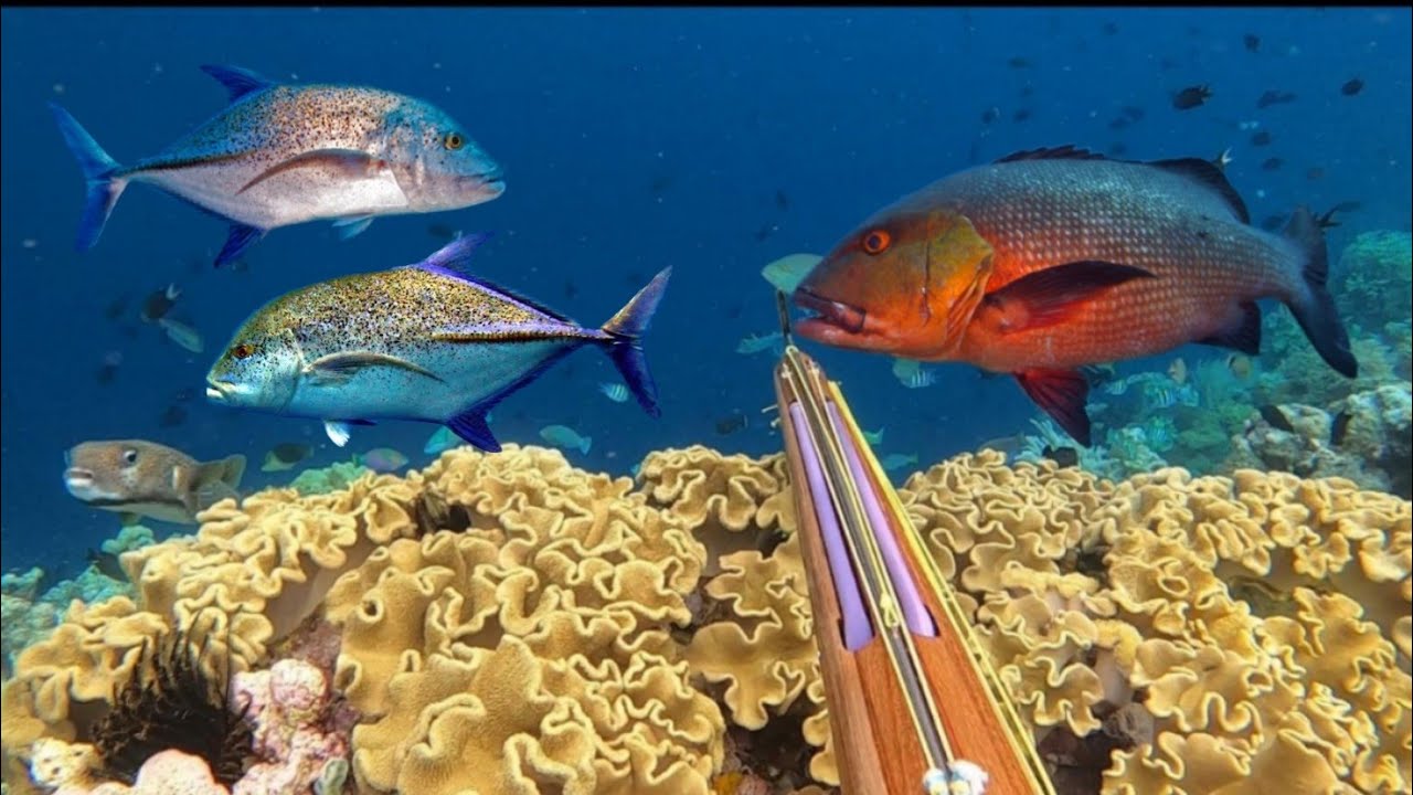 BERBURU IKAN BESAR DI TENGAH LAUT SAAT MUSIM BADAI
