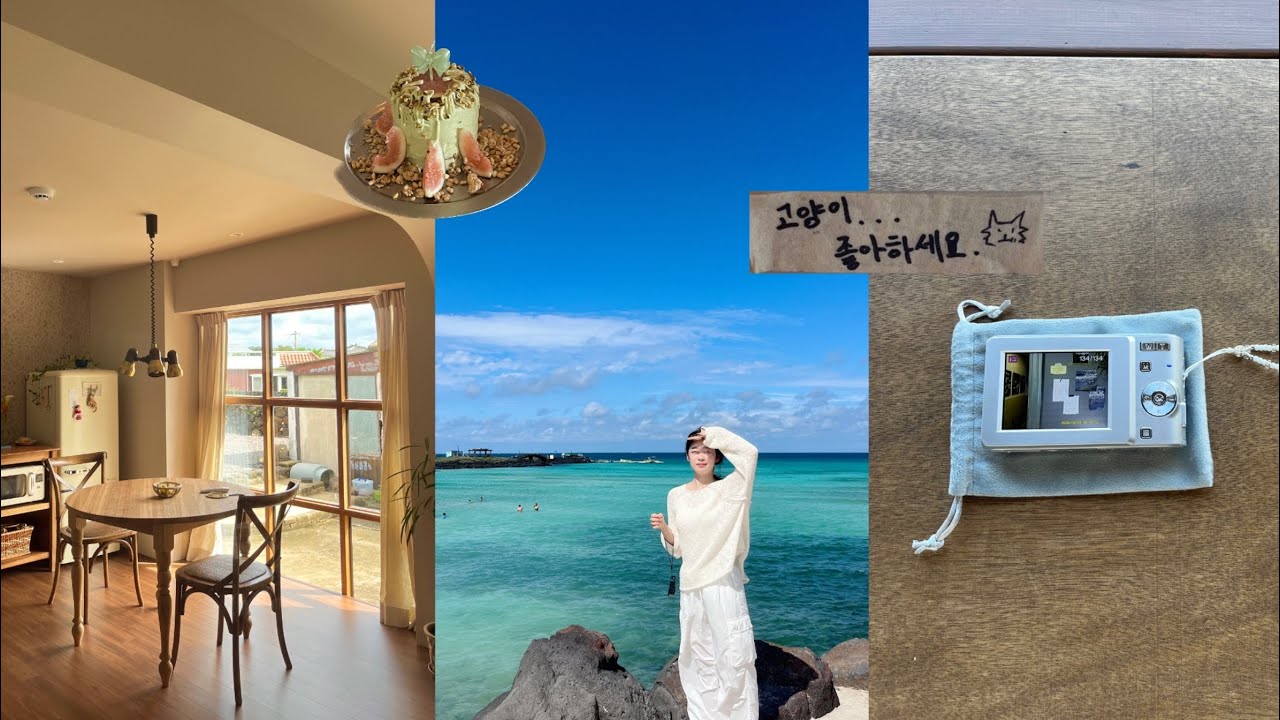 ✧가을 제주도 2박3일 여행 브이로그✧ㅣ실패없는 제주 동쪽 뚜벅이 코스ㅣ또갈집 카페추천, 고양이 천국 숙소추천🐈