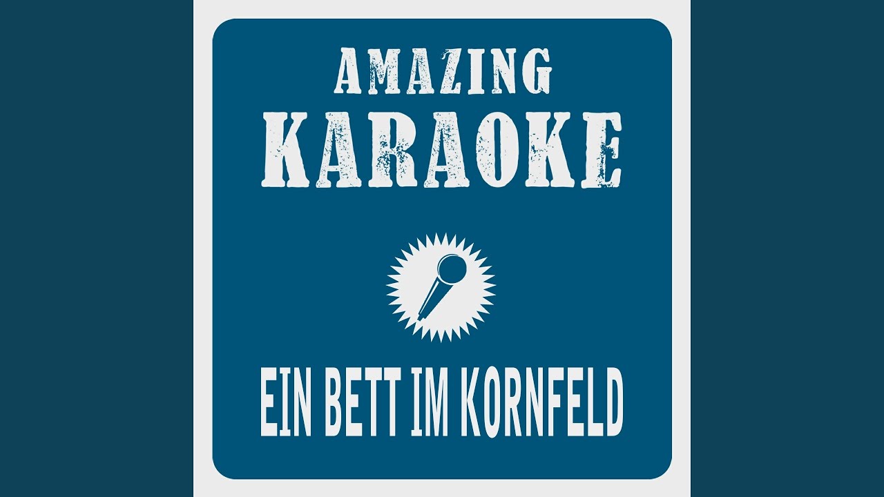 Wieder alles im Griff (Karaoke Version)
