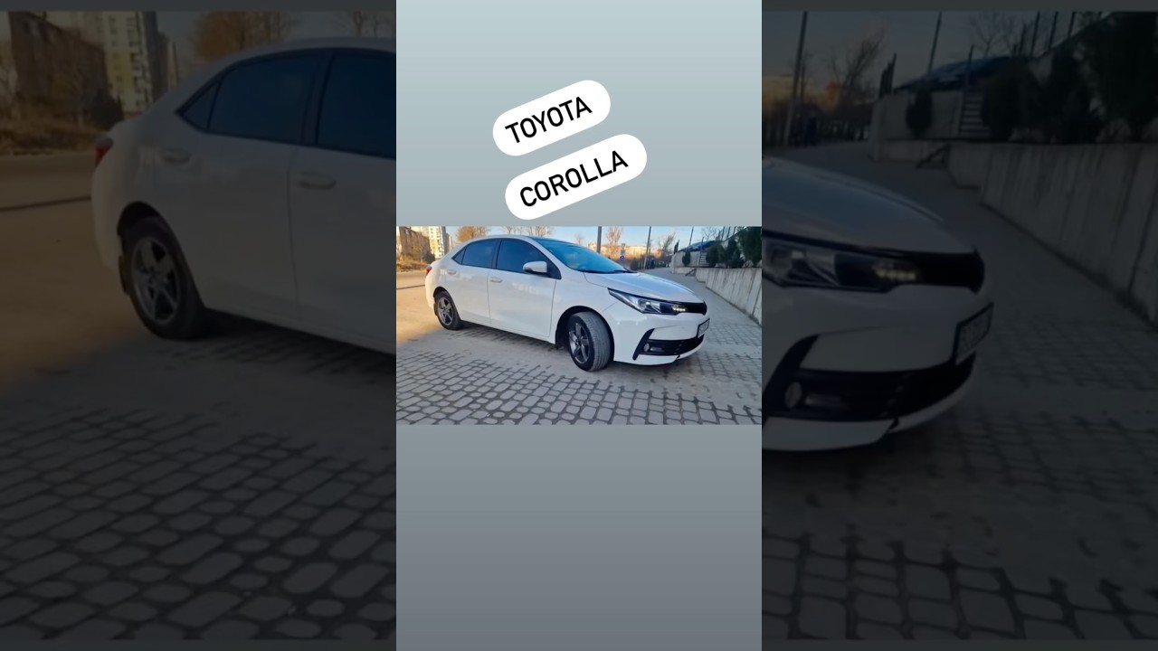 Тойота Корола три дублюючі педалі #автоінструктор #automobile #автошкола #pedali