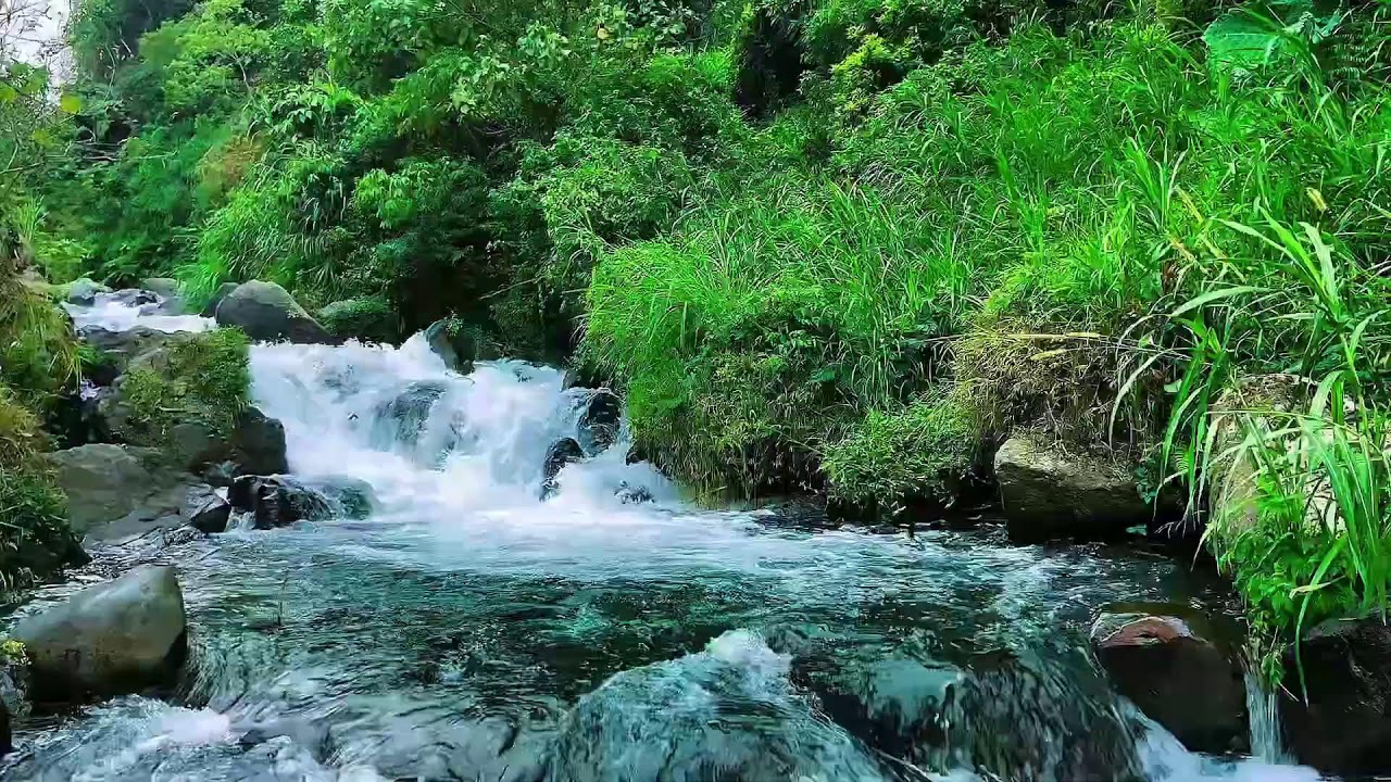 Peaceful river water sounds for relaxation